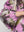 I SAY Erla Dress Dresses M16 Color Punch